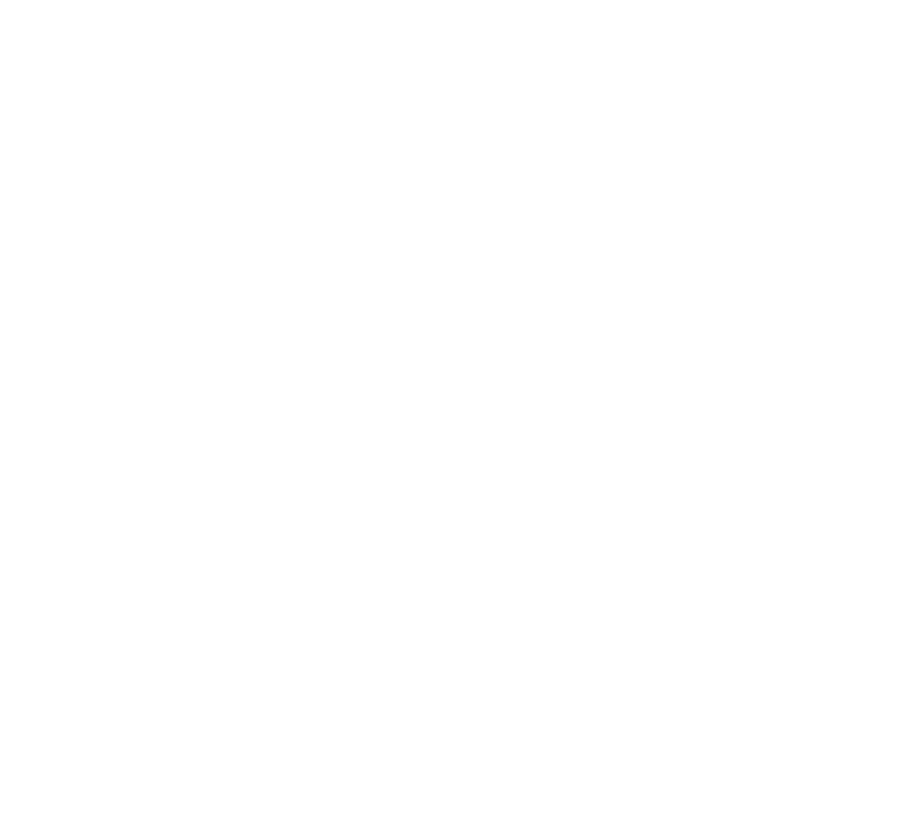 Guzman Insolvencia
